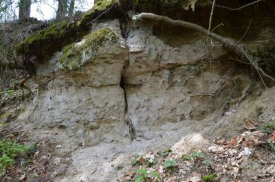 Bohdašín - písník