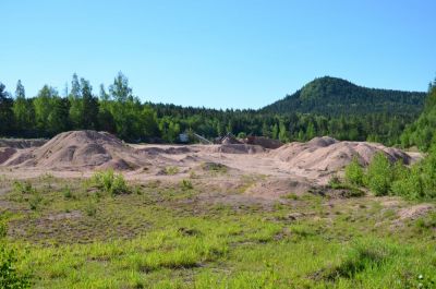 Jetřichovský písník