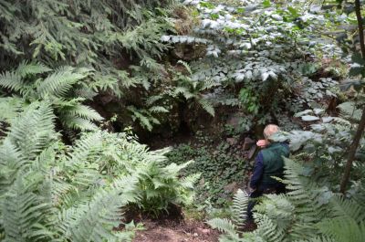 Pseudosopka u Šonova